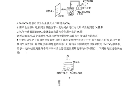 课时规范练16　光合作用的影响因素及其应用_高中三年全科资料_高中_高中1_2026版《优化设计》新高考版一轮（生物+数学）_2026优化设计一轮复习(生物)_课后习题
