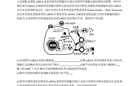 课时规范练42　免疫失调和免疫学的应用_高中三年全科资料_高中_高中1_2026版《优化设计》新高考版一轮（生物+数学）_2026优化设计一轮复习(生物)_课后习题