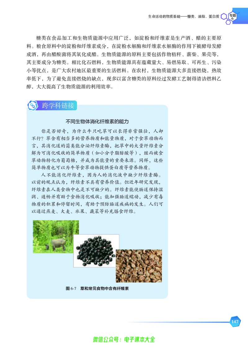 选择性必修3&mdash;&mdash;有机化学基础（苏教版）_高中三年全科资料_高中_高中电子教材_高中化学_苏教版