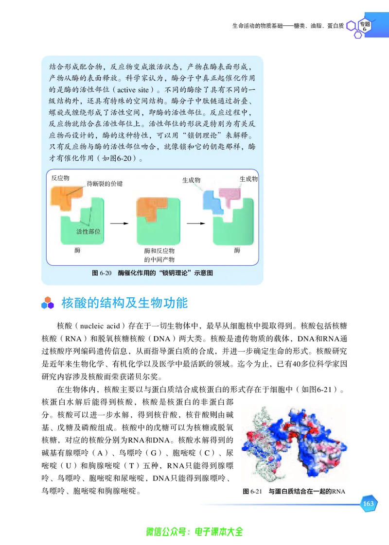 选择性必修3&mdash;&mdash;有机化学基础（苏教版）_高中三年全科资料_高中_高中电子教材_高中化学_苏教版