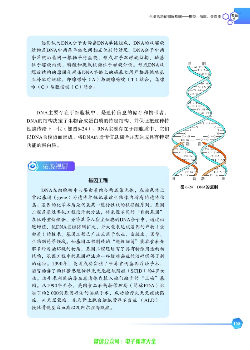 选择性必修3&mdash;&mdash;有机化学基础（苏教版）_高中三年全科资料_高中_高中电子教材_高中化学_苏教版