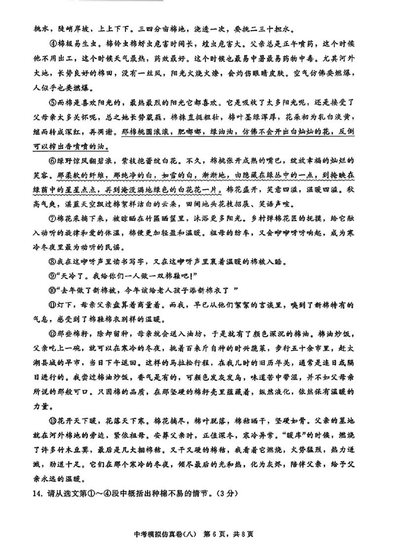 2026《金考1号&bull;中考模拟仿真卷》语文_中考押题2026《中考押题》系列（9科全套实时更新中）_金考1号2026版初中《金考1号》中考模拟仿真卷（语数英物化）