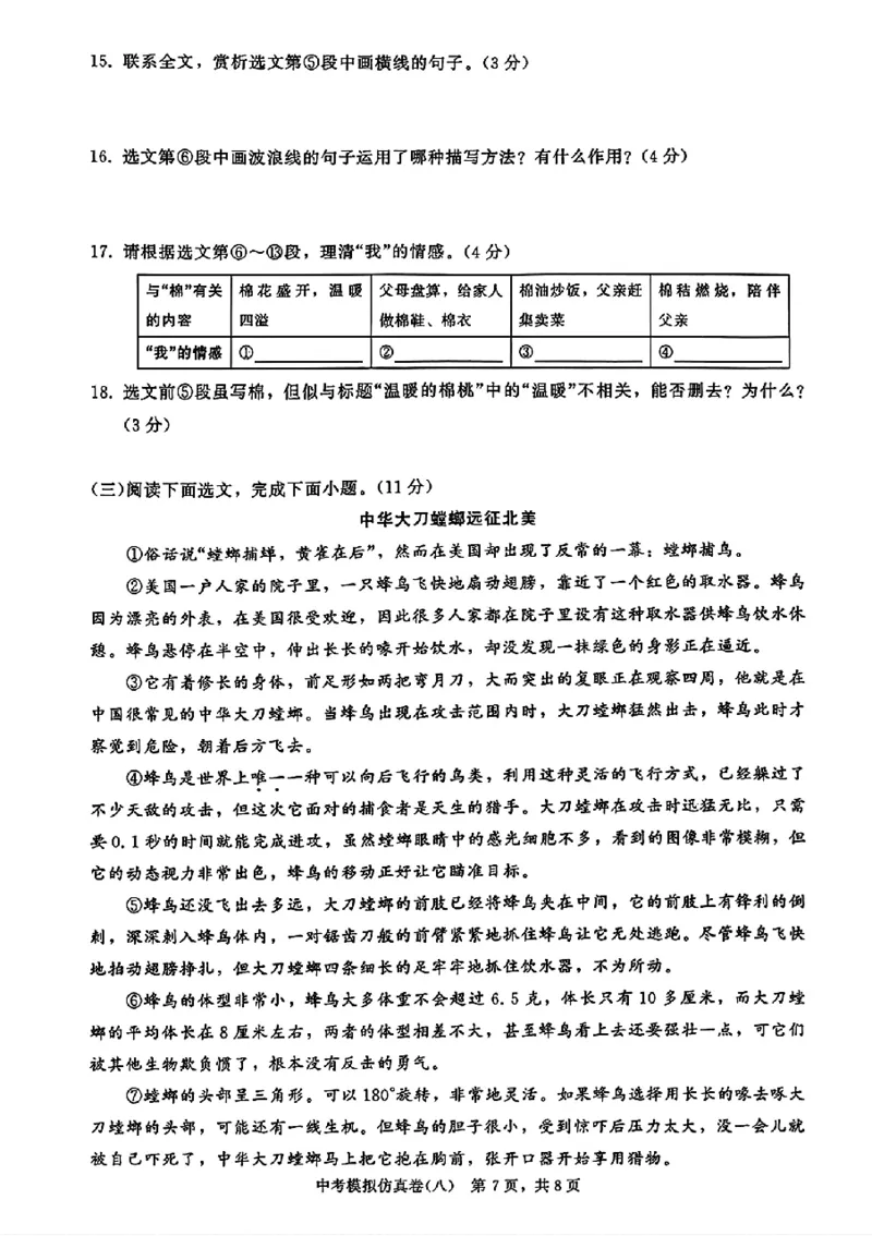 2026《金考1号&bull;中考模拟仿真卷》语文_中考押题2026《中考押题》系列（9科全套实时更新中）_金考1号2026版初中《金考1号》中考模拟仿真卷（语数英物化）