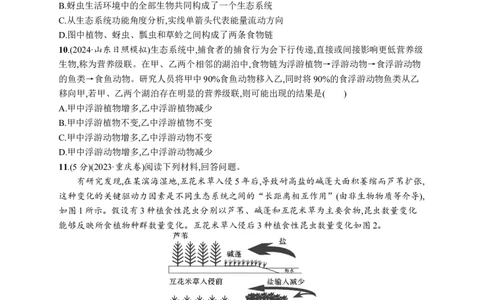 课时规范练50　生态系统的结构_高中三年全科资料_高中_高中1_2026版《优化设计》新高考版一轮（生物+数学）_2026优化设计一轮复习(生物)_高考总复习优化设计一轮用书生物H配人教版word