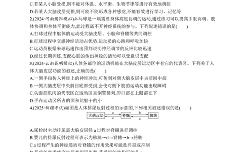 课时规范练38　神经系统的分级调节及人脑的高级功能_高中三年全科资料_高中_高中1_2026版《优化设计》新高考版一轮（生物+数学）_2026优化设计一轮复习(生物)_课后习题
