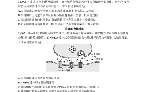 课时规范练38　神经系统的分级调节及人脑的高级功能_高中三年全科资料_高中_高中1_2026版《优化设计》新高考版一轮（生物+数学）_2026优化设计一轮复习(生物)_课后习题