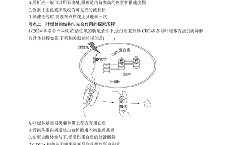 课时规范练14　捕获光能的色素结构、光合作用原理的探索_高中三年全科资料_高中_高中1_2026版《优化设计》新高考版一轮（生物+数学）_2026优化设计一轮复习(生物)_课后习题