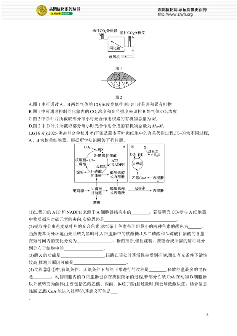 课时规范练17　光合作用、细胞呼吸的联系与综合运用_高中三年全科资料_高中_高中1_2026版《优化设计》新高考版一轮（生物+数学）_2026优化设计一轮复习(生物)_课后习题