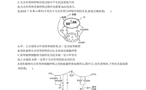 课时规范练17　光合作用、细胞呼吸的联系与综合运用_高中三年全科资料_高中_高中1_2026版《优化设计》新高考版一轮（生物+数学）_2026优化设计一轮复习(生物)_课后习题