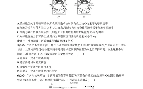 课时规范练17　光合作用、细胞呼吸的联系与综合运用_高中三年全科资料_高中_高中1_2026版《优化设计》新高考版一轮（生物+数学）_2026优化设计一轮复习(生物)_课后习题