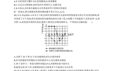 课时规范练17　光合作用、细胞呼吸的联系与综合运用_高中三年全科资料_高中_高中1_2026版《优化设计》新高考版一轮（生物+数学）_2026优化设计一轮复习(生物)_课后习题