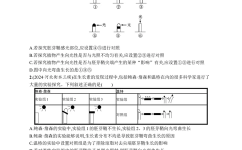 课时规范练43　植物生长素及其生理作用_高中三年全科资料_高中_高中1_2026版《优化设计》新高考版一轮（生物+数学）_2026优化设计一轮复习(生物)_课后习题