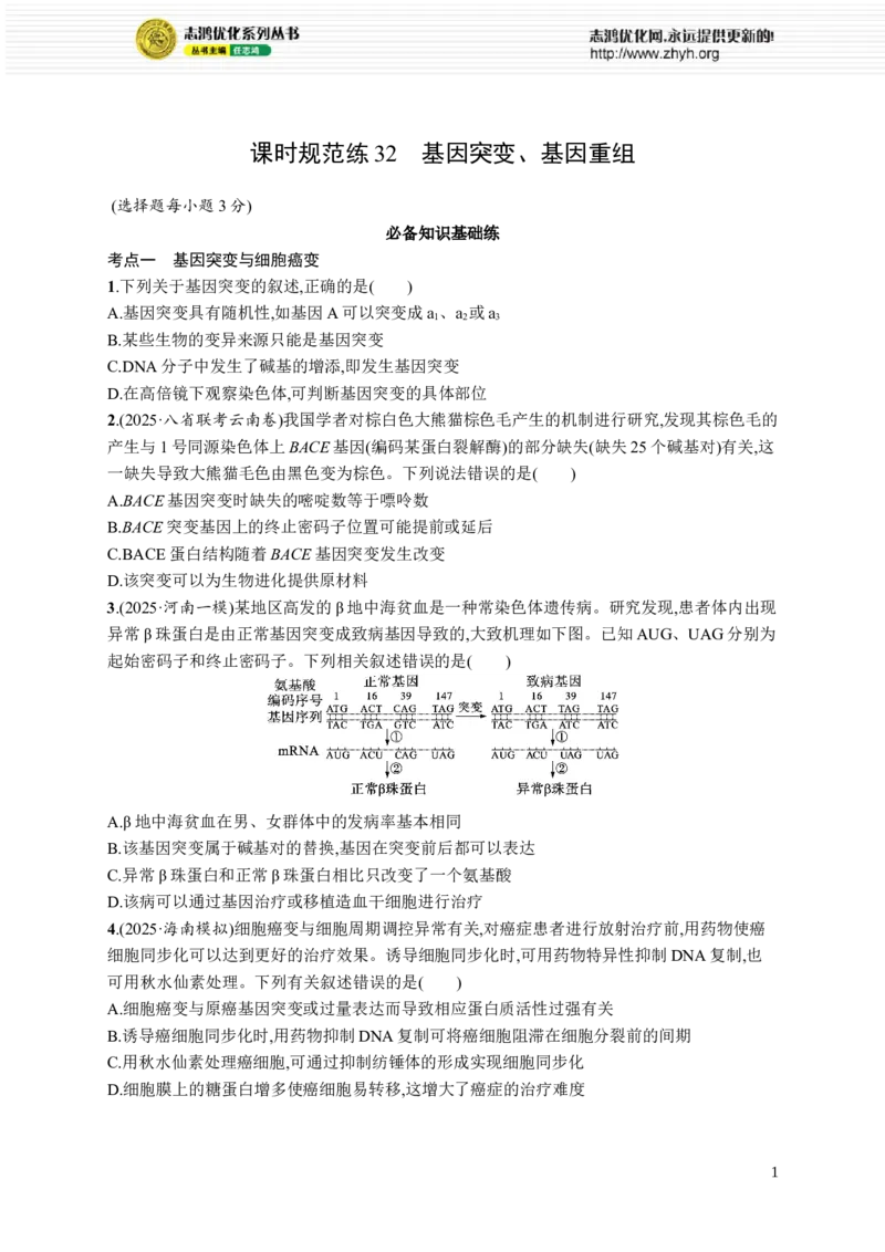课时规范练32　基因突变、基因重组_高中三年全科资料_高中_高中1_2026版《优化设计》新高考版一轮（生物+数学）_2026优化设计一轮复习(生物)_课后习题