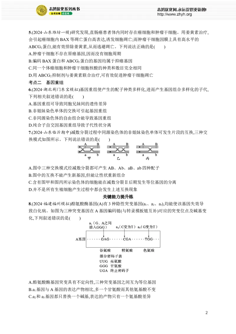 课时规范练32　基因突变、基因重组_高中三年全科资料_高中_高中1_2026版《优化设计》新高考版一轮（生物+数学）_2026优化设计一轮复习(生物)_课后习题