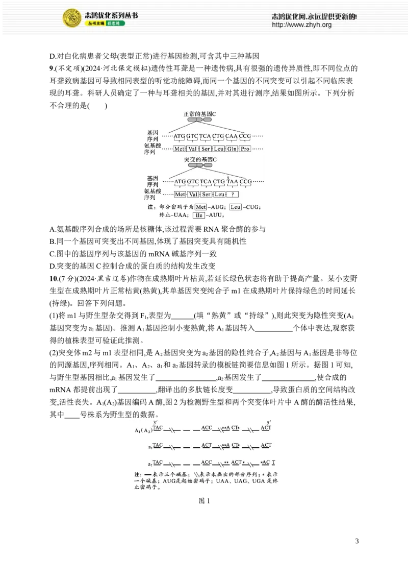 课时规范练32　基因突变、基因重组_高中三年全科资料_高中_高中1_2026版《优化设计》新高考版一轮（生物+数学）_2026优化设计一轮复习(生物)_课后习题