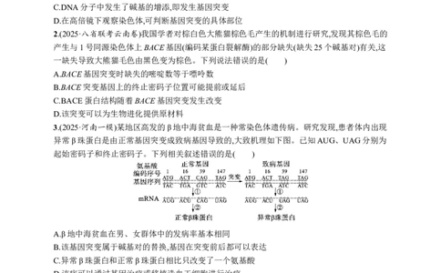课时规范练32　基因突变、基因重组_高中三年全科资料_高中_高中1_2026版《优化设计》新高考版一轮（生物+数学）_2026优化设计一轮复习(生物)_课后习题