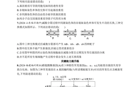 课时规范练32　基因突变、基因重组_高中三年全科资料_高中_高中1_2026版《优化设计》新高考版一轮（生物+数学）_2026优化设计一轮复习(生物)_课后习题