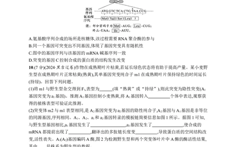 课时规范练32　基因突变、基因重组_高中三年全科资料_高中_高中1_2026版《优化设计》新高考版一轮（生物+数学）_2026优化设计一轮复习(生物)_课后习题