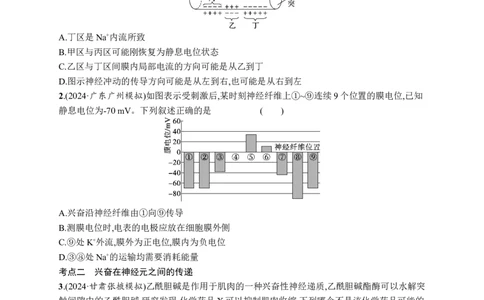 课时规范练37　神经冲动的产生、传导和传递_高中三年全科资料_高中_高中1_2026版《优化设计》新高考版一轮（生物+数学）_2026优化设计一轮复习(生物)_课后习题