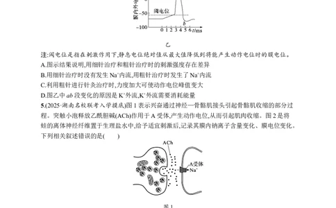 课时规范练37　神经冲动的产生、传导和传递_高中三年全科资料_高中_高中1_2026版《优化设计》新高考版一轮（生物+数学）_2026优化设计一轮复习(生物)_课后习题