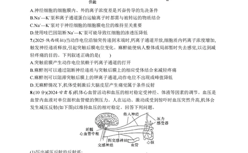 课时规范练37　神经冲动的产生、传导和传递_高中三年全科资料_高中_高中1_2026版《优化设计》新高考版一轮（生物+数学）_2026优化设计一轮复习(生物)_课后习题