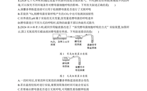 课时规范练13　探究酵母菌细胞呼吸的方式、影响细胞呼吸的因素及细胞呼吸原理的应用_高中三年全科资料_高中_高中1_2026版《优化设计》新高考版一轮（生物+数学）_课后习题
