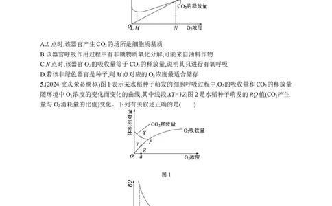 课时规范练13　探究酵母菌细胞呼吸的方式、影响细胞呼吸的因素及细胞呼吸原理的应用_高中三年全科资料_高中_高中1_2026版《优化设计》新高考版一轮（生物+数学）_课后习题