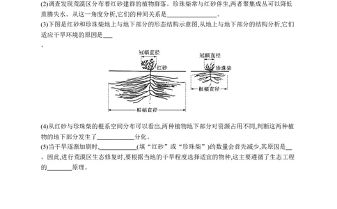 课时规范练49　群落的主要类型和演替_高中三年全科资料_高中_高中1_2026版《优化设计》新高考版一轮（生物+数学）_2026优化设计一轮复习(生物)_课后习题