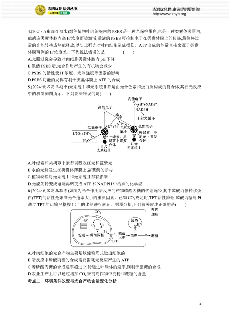 课时规范练15　光合作用原理_高中三年全科资料_高中_高中1_2026版《优化设计》新高考版一轮（生物+数学）_2026优化设计一轮复习(生物)_高考总复习优化设计一轮用书生物H配人教版word