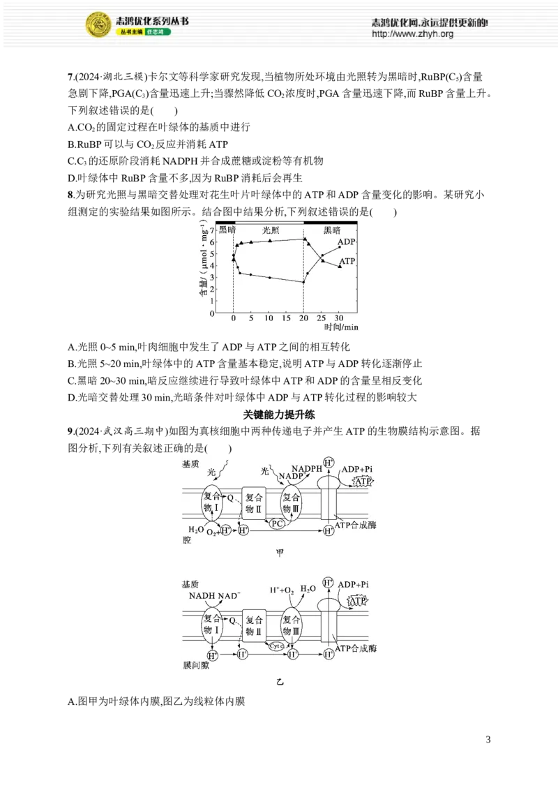课时规范练15　光合作用原理_高中三年全科资料_高中_高中1_2026版《优化设计》新高考版一轮（生物+数学）_2026优化设计一轮复习(生物)_高考总复习优化设计一轮用书生物H配人教版word