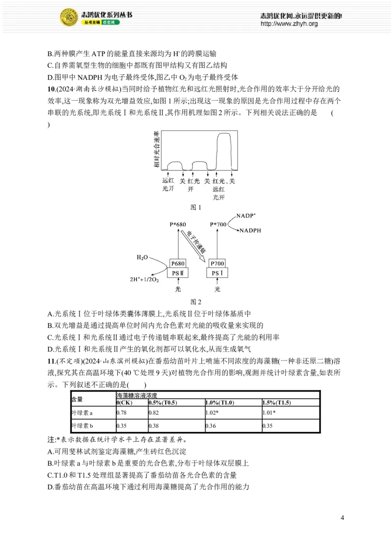 课时规范练15　光合作用原理_高中三年全科资料_高中_高中1_2026版《优化设计》新高考版一轮（生物+数学）_2026优化设计一轮复习(生物)_高考总复习优化设计一轮用书生物H配人教版word