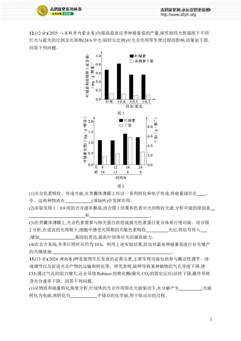 课时规范练15　光合作用原理_高中三年全科资料_高中_高中1_2026版《优化设计》新高考版一轮（生物+数学）_2026优化设计一轮复习(生物)_高考总复习优化设计一轮用书生物H配人教版word