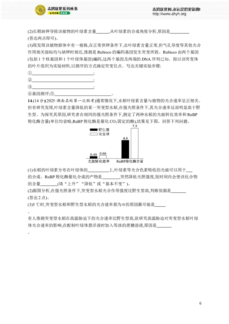 课时规范练15　光合作用原理_高中三年全科资料_高中_高中1_2026版《优化设计》新高考版一轮（生物+数学）_2026优化设计一轮复习(生物)_高考总复习优化设计一轮用书生物H配人教版word