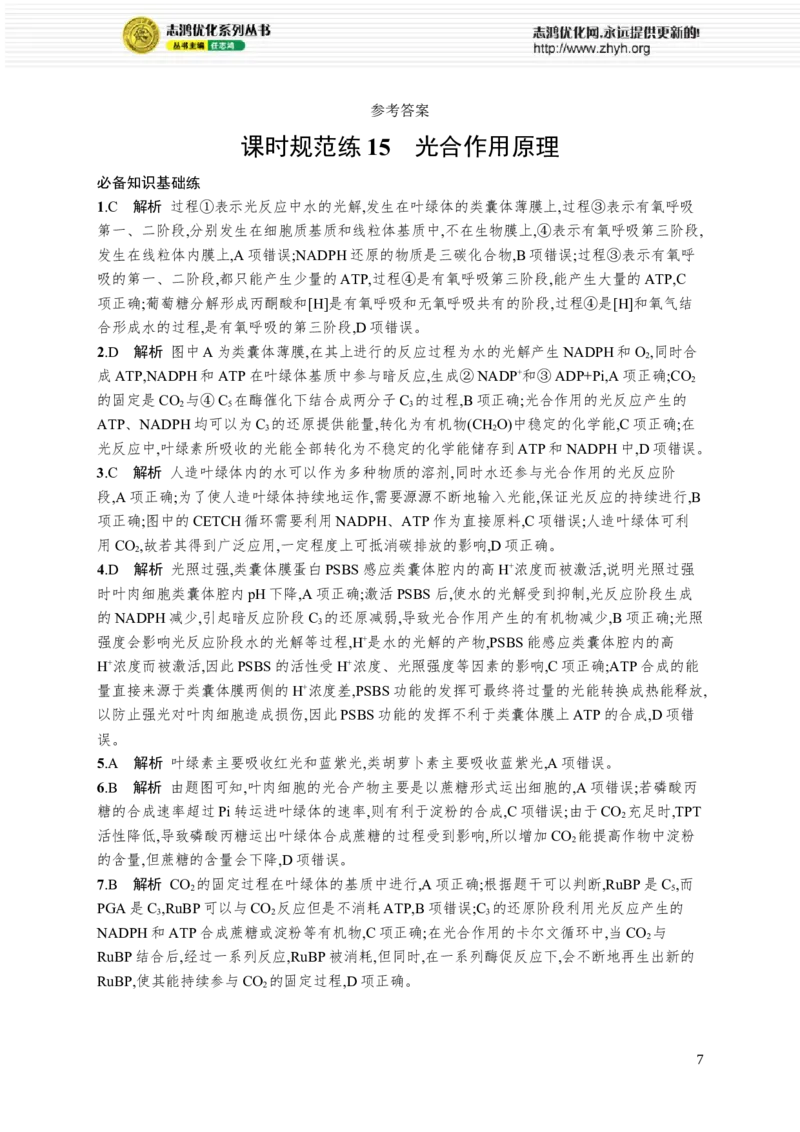 课时规范练15　光合作用原理_高中三年全科资料_高中_高中1_2026版《优化设计》新高考版一轮（生物+数学）_2026优化设计一轮复习(生物)_高考总复习优化设计一轮用书生物H配人教版word