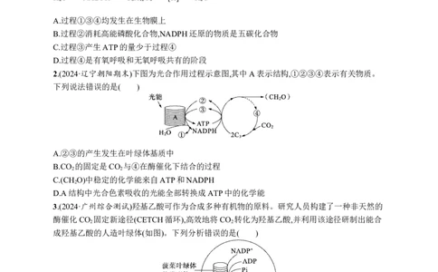 课时规范练15　光合作用原理_高中三年全科资料_高中_高中1_2026版《优化设计》新高考版一轮（生物+数学）_2026优化设计一轮复习(生物)_高考总复习优化设计一轮用书生物H配人教版word