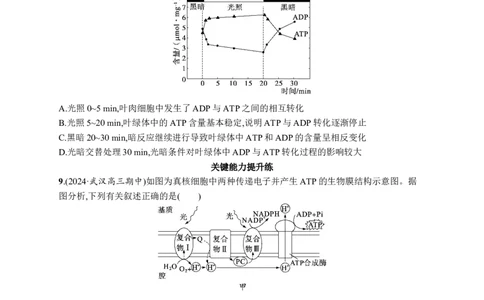 课时规范练15　光合作用原理_高中三年全科资料_高中_高中1_2026版《优化设计》新高考版一轮（生物+数学）_2026优化设计一轮复习(生物)_高考总复习优化设计一轮用书生物H配人教版word