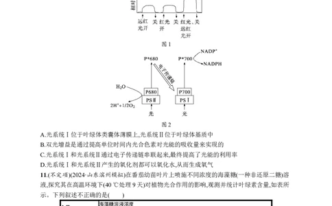 课时规范练15　光合作用原理_高中三年全科资料_高中_高中1_2026版《优化设计》新高考版一轮（生物+数学）_2026优化设计一轮复习(生物)_高考总复习优化设计一轮用书生物H配人教版word