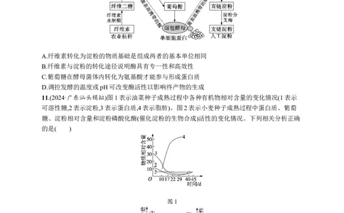 课时规范练2　细胞中的无机物、糖类和脂质_高中三年全科资料_高中_高中1_2026版《优化设计》新高考版一轮（生物+数学）_2026优化设计一轮复习(生物)_课后习题