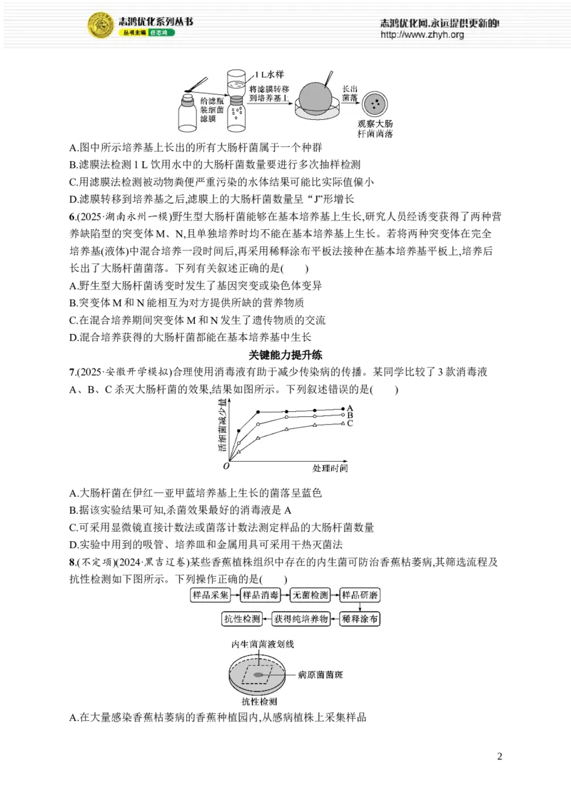 课时规范练56　微生物的培养技术及其应用_高中三年全科资料_高中_高中1_2026版《优化设计》新高考版一轮（生物+数学）_2026优化设计一轮复习(生物)_课后习题