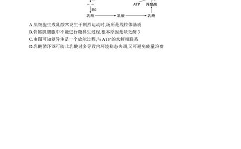 课时规范练35　人体的内环境与稳态_高中三年全科资料_高中_高中1_2026版《优化设计》新高考版一轮（生物+数学）_2026优化设计一轮复习(生物)_课后习题