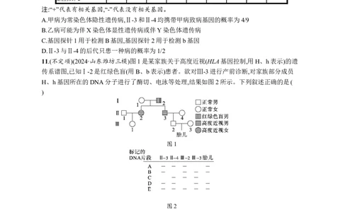 课时规范练27　人类遗传病、遗传系谱图与电泳图谱_高中三年全科资料_高中_高中1_2026版《优化设计》新高考版一轮（生物+数学）_2026优化设计一轮复习(生物)_课后习题