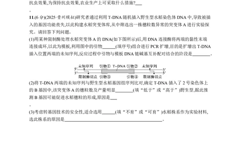 课时规范练62　生物技术的安全性与伦理问题_高中三年全科资料_高中_高中1_2026版《优化设计》新高考版一轮（生物+数学）_2026优化设计一轮复习(生物)_课后习题