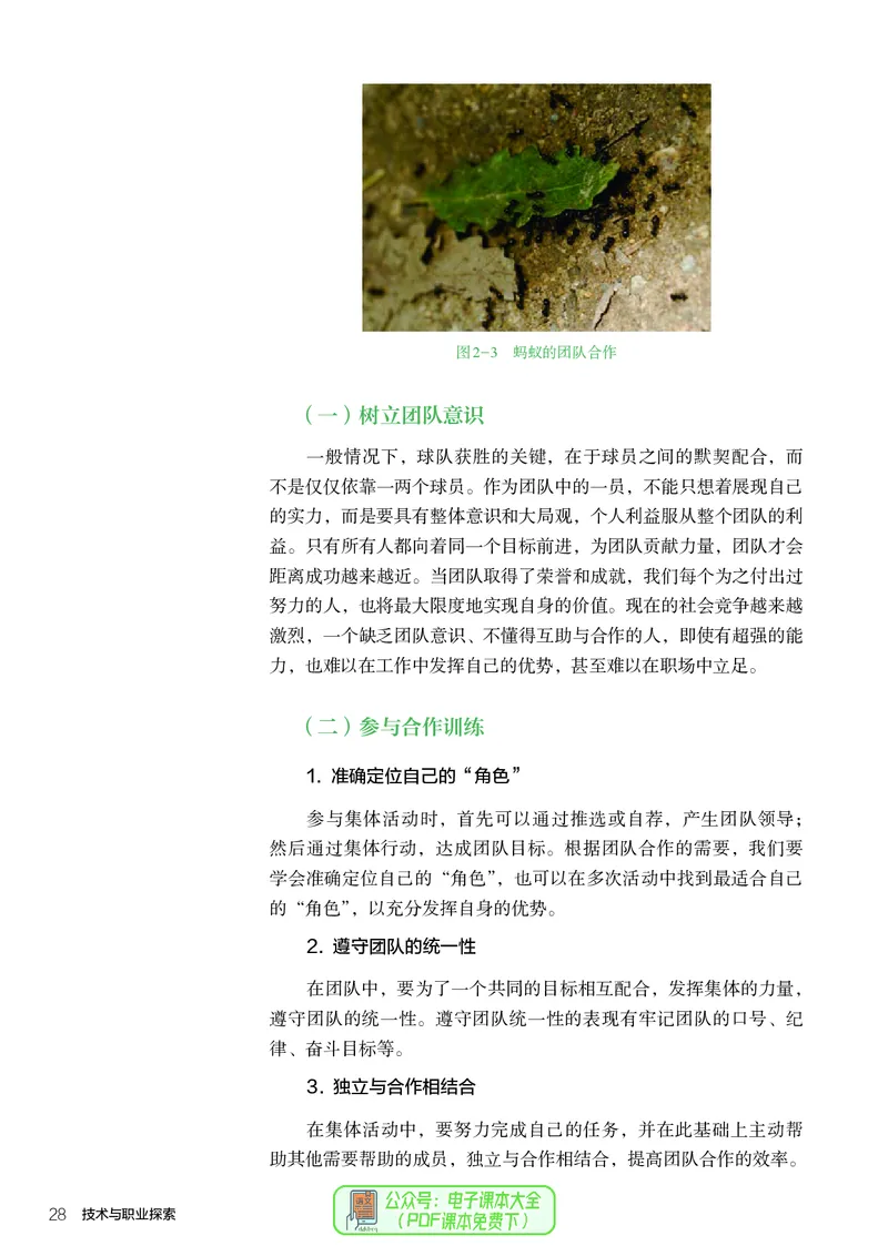 选择性必修8技术与职业探索_高中三年全科资料_高中_高中电子教材_高中通用技术_人教版