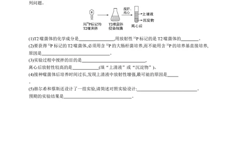 课时规范练28　DNA是主要的遗传物质_高中三年全科资料_高中_高中1_2026版《优化设计》新高考版一轮（生物+数学）_2026优化设计一轮复习(生物)_课后习题