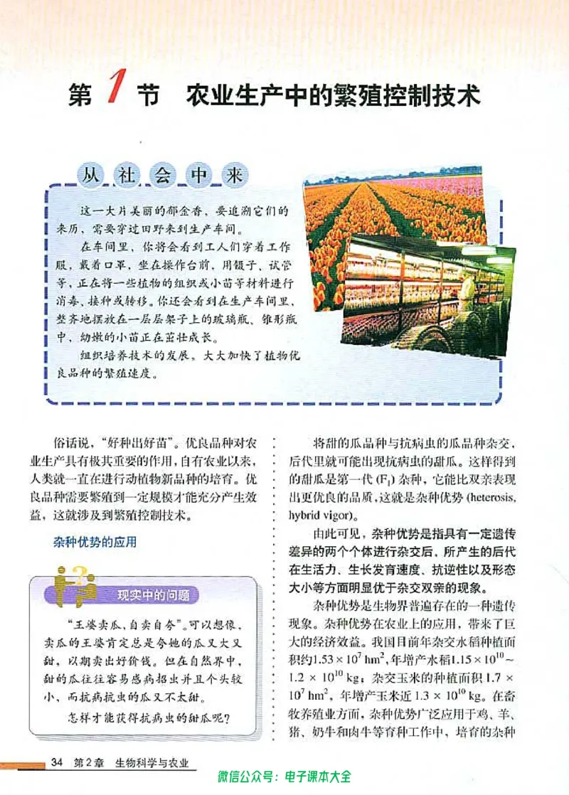 选修2《生物科学与社会》_高中三年全科资料_高中_高中电子教材_旧教材_高中生物（人教旧版）_高中生物选修1-3（3本）