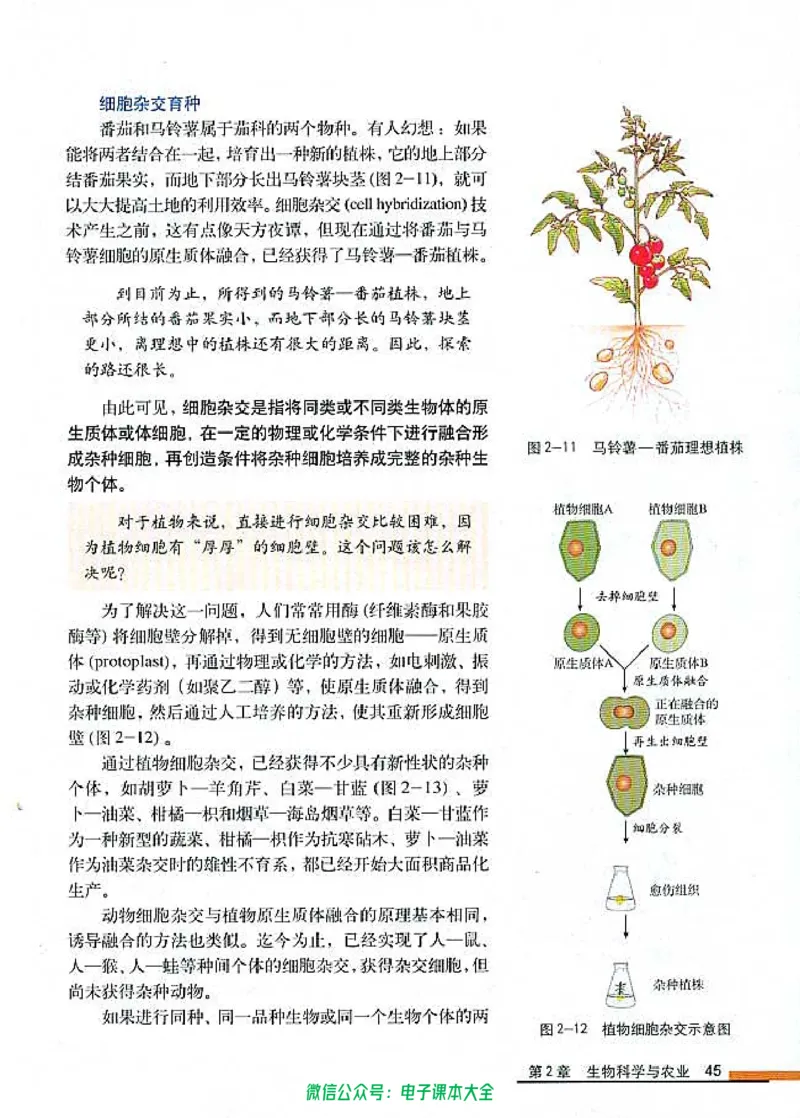 选修2《生物科学与社会》_高中三年全科资料_高中_高中电子教材_旧教材_高中生物（人教旧版）_高中生物选修1-3（3本）