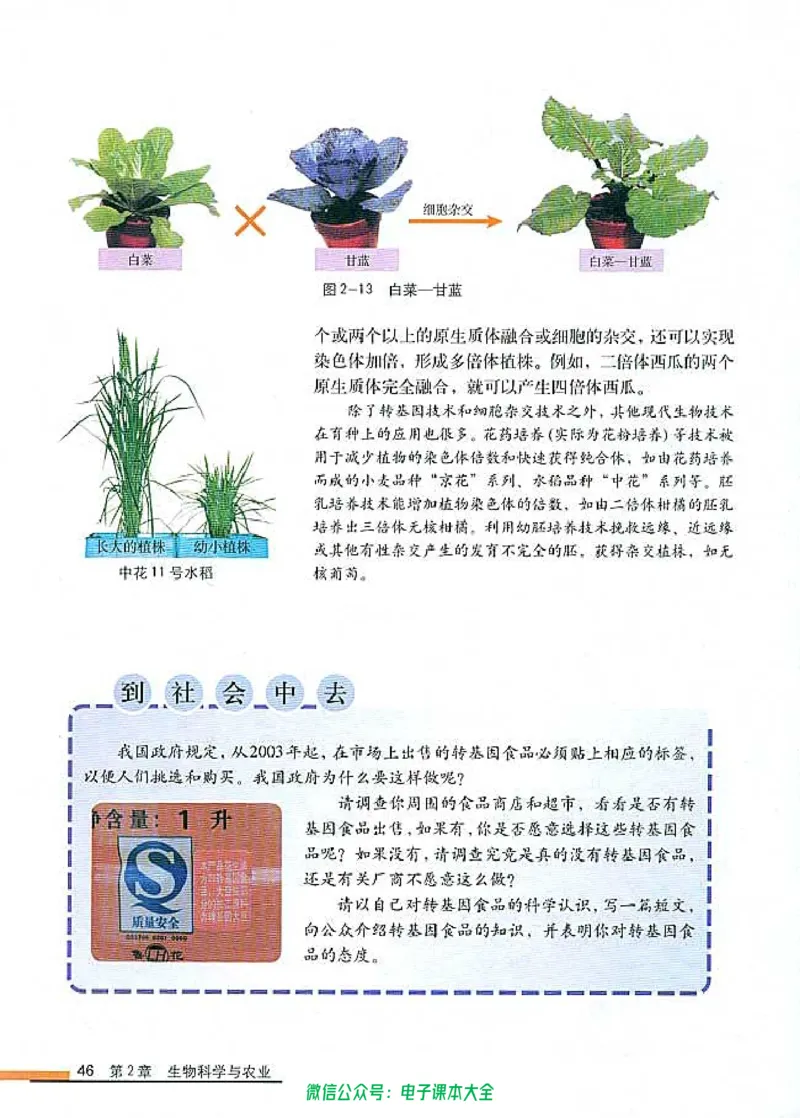 选修2《生物科学与社会》_高中三年全科资料_高中_高中电子教材_旧教材_高中生物（人教旧版）_高中生物选修1-3（3本）