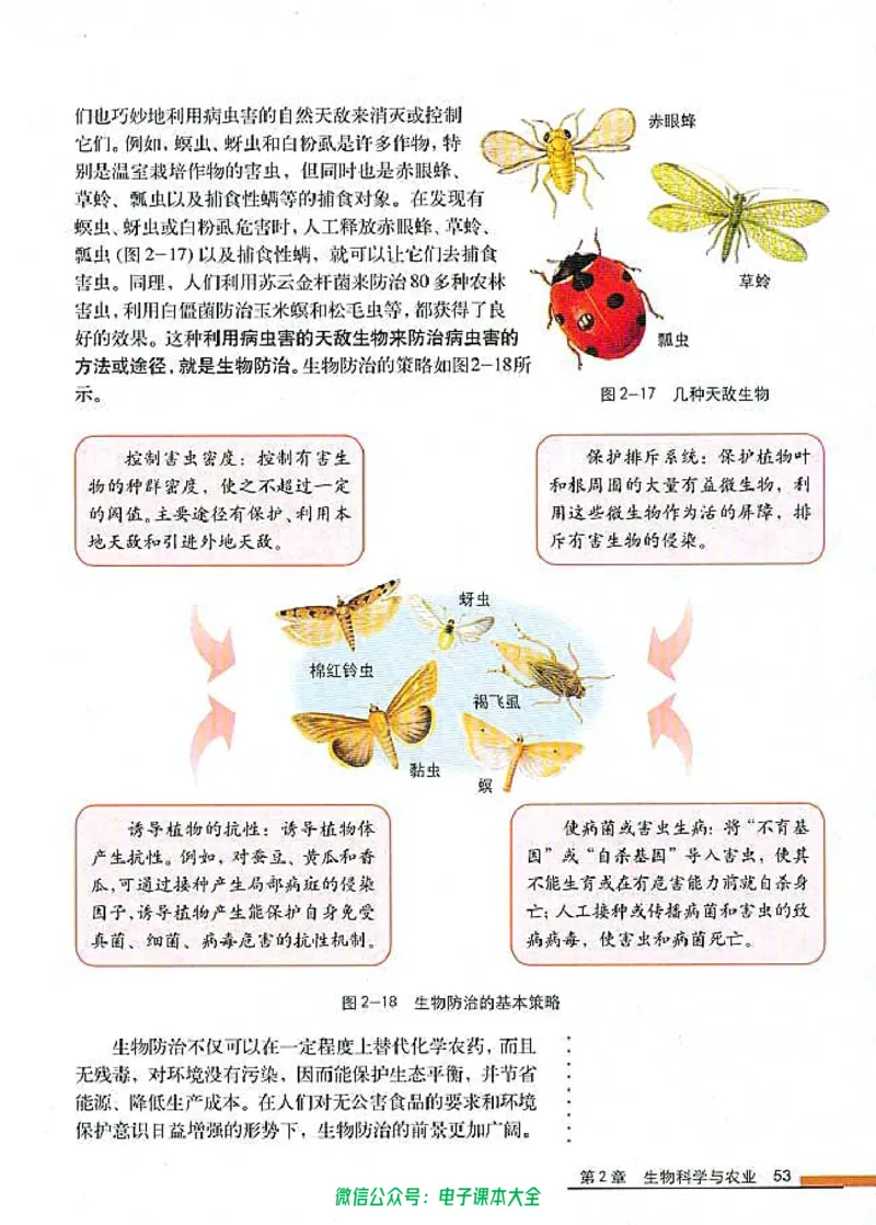 选修2《生物科学与社会》_高中三年全科资料_高中_高中电子教材_旧教材_高中生物（人教旧版）_高中生物选修1-3（3本）