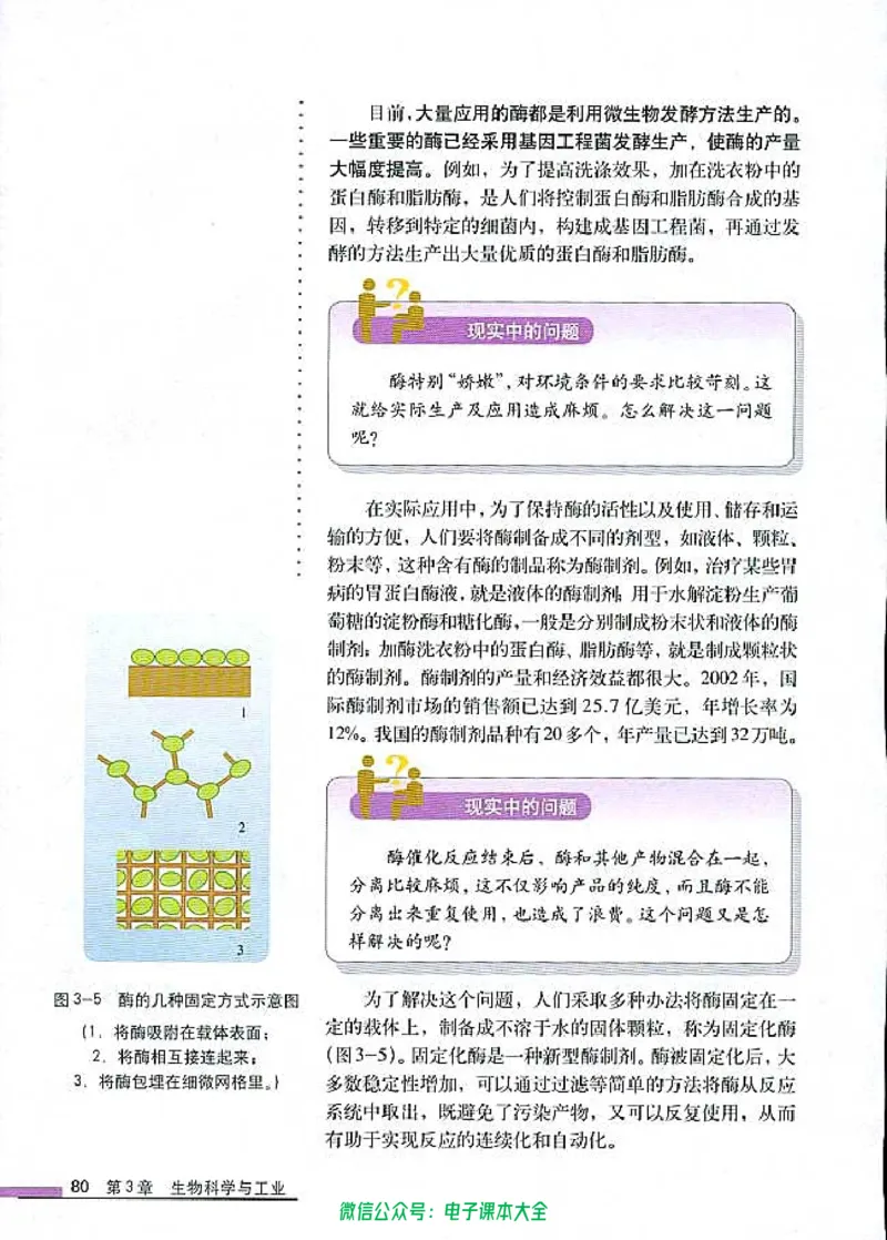 选修2《生物科学与社会》_高中三年全科资料_高中_高中电子教材_旧教材_高中生物（人教旧版）_高中生物选修1-3（3本）