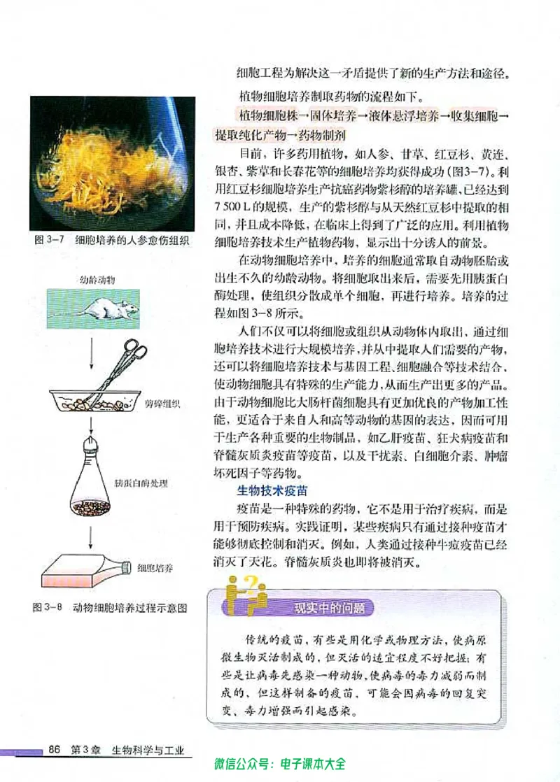 选修2《生物科学与社会》_高中三年全科资料_高中_高中电子教材_旧教材_高中生物（人教旧版）_高中生物选修1-3（3本）
